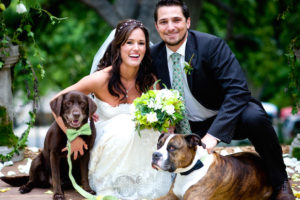 Perros en bodas posando con novios