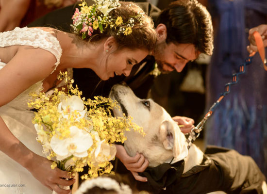 Noivo e noiva recebem as aliancas e fazem carinho no cachorro Labrador que levou as aliancas durante cerimonia de casamento, realizado na Casa Bosque da Gávea, no Rio de Janeiro.