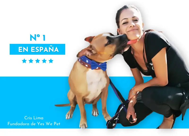 Cris Lima, fundadora de yes we pet, empresa de servicios especializada en bodas con perros en Brasil y españa. Se la ve con un perro en una boda recibiendo un lametón
