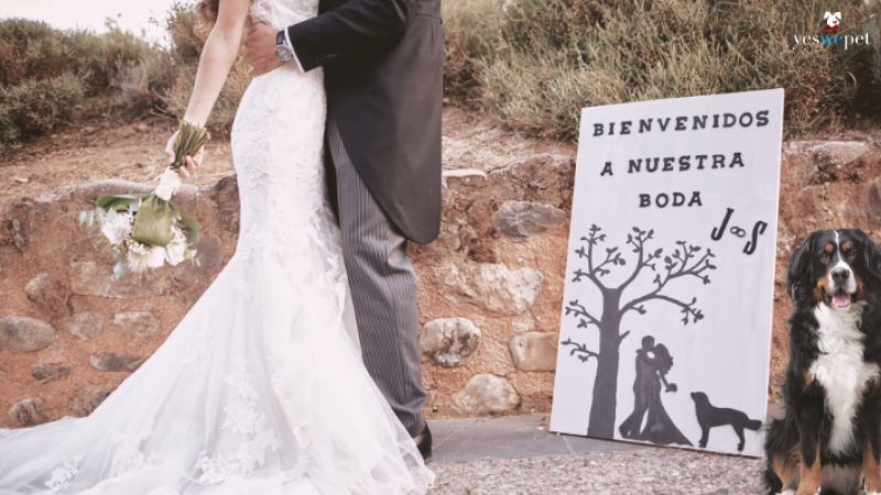 recepción de los invitados de una boda con la pareja abrazándose, un cartel de "bienvenidos" y el perro al lado.
recepção dos convidados em um casamento com cachorro, o casal se abraça enquanto o cachorro pousa para a foto.