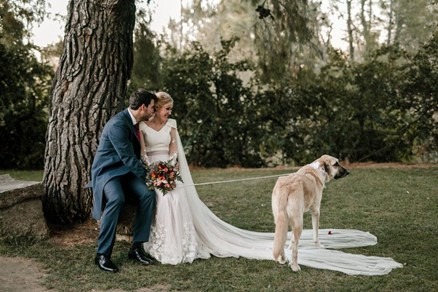 historia-de-una-boda-con-perro