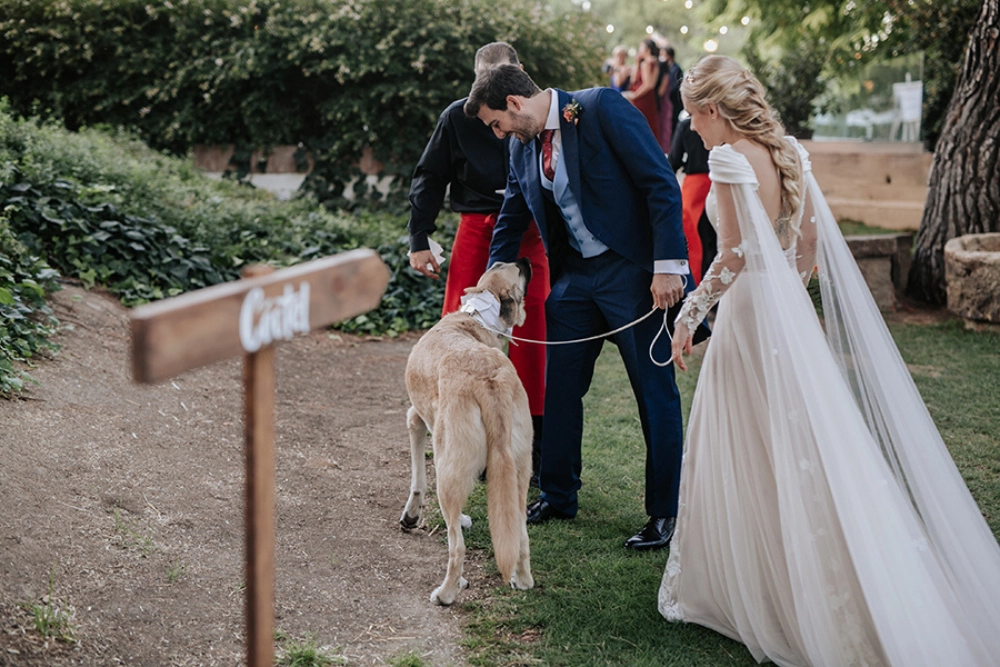 momento coquetel de uma casamento com os noivos e o cachorro deles